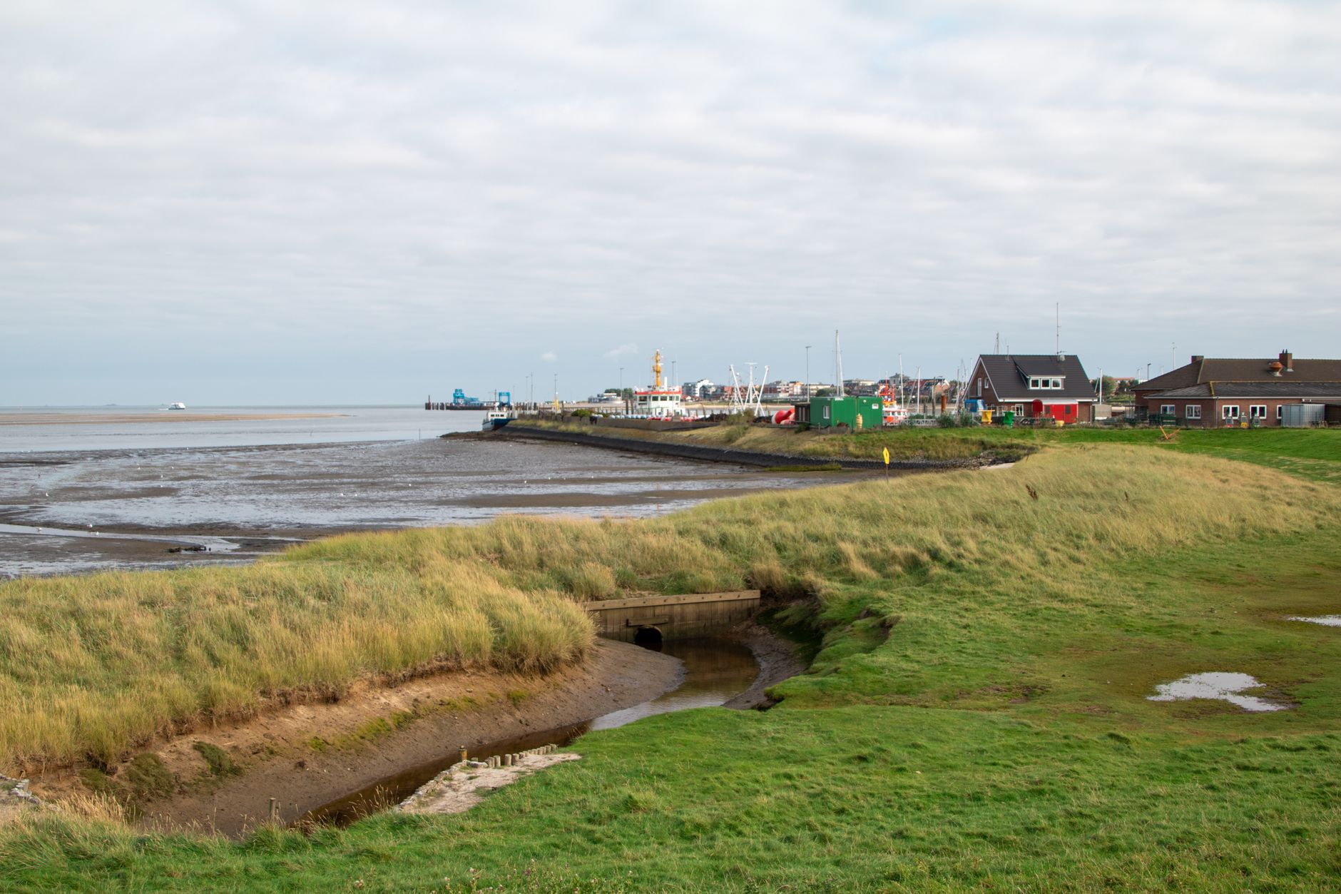 En græsklædt dige ved vadehavet med huse og både i det fjerne